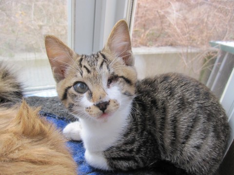 まー坊
とってもかわいい優しい