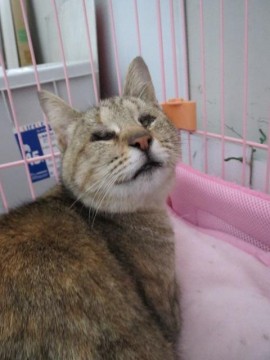 おひざが大好きです

まるで