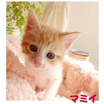 みんな元気で
 かわいい子たち