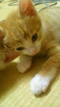 三姉妹で一番の美人さんです＾＾