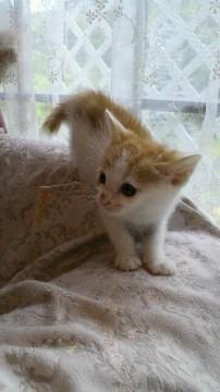 最初は怖がっていたものの、今はべ