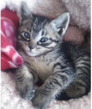 すわっているとひざにのって
甘