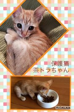 わかりやすく動画でご紹介できます