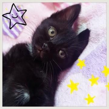 【愛称】 つぐみちゃん

【