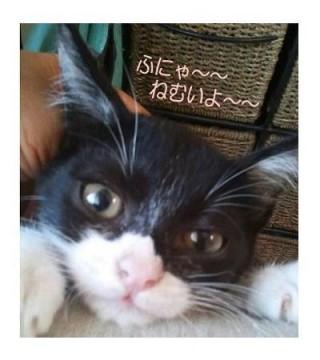 とにかく人が好きな様子です
育