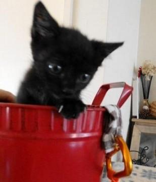 お腹がいっぱいだと　全然手がかか