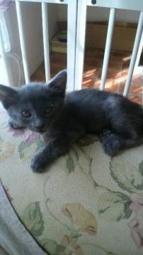 保護当初は人馴れしておらずフーシ