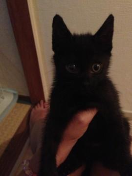 病院の先生のお見たてでは現在1ヶ