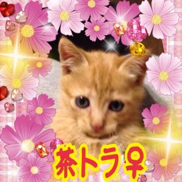 7日現在、大募集中です。

