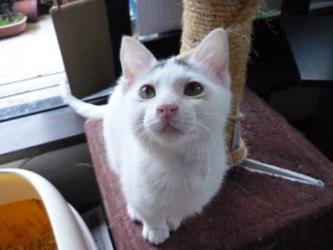 元気で食欲旺盛、とても人懐こいで