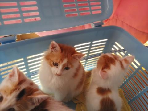 元気いっぱいです！２ヶ月のわりに