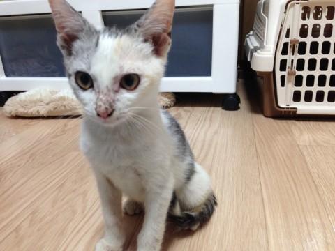 元気が良すぎるぐらい、とても元気