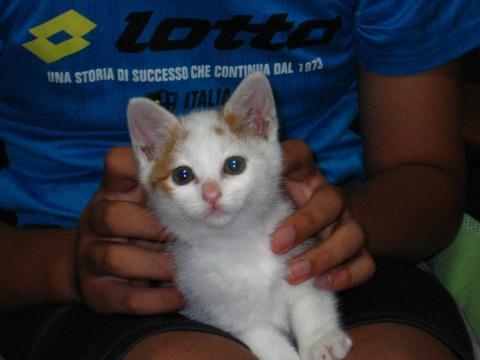 　少し茶色の模様が入ってます。尻