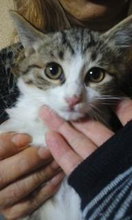 仮の名前を、ララちゃんと言います