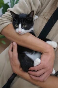 ・とっても甘えん坊で病院の診察中