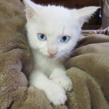 お母さん・兄弟と一緒です(^^)