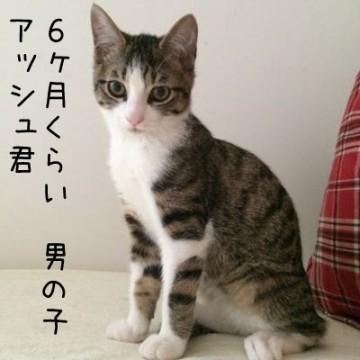 ・まだドキドキさんで、抱っこは緊