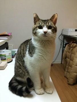 とても可愛い顔をしております。そ