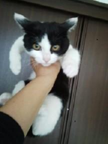 怖がりでびくびくしています。
