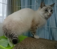 ノラ出身にしては、明るく甘えん坊