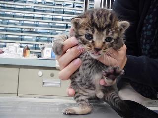 沢山お問い合わせ頂きましたので一