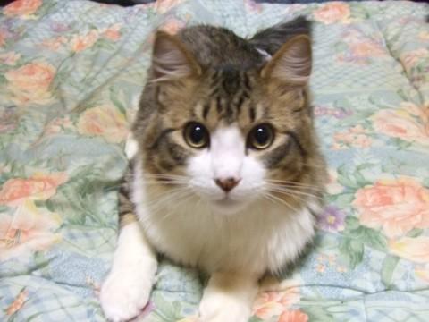 甘えん坊でなかなかのイケメン君