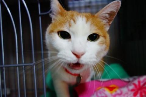 ★あたしだけを見て！み～ちゃん★