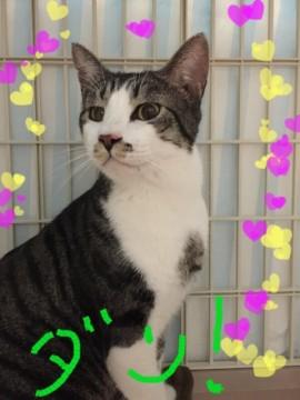 人懐っこいダンくん(=^ェ^=)