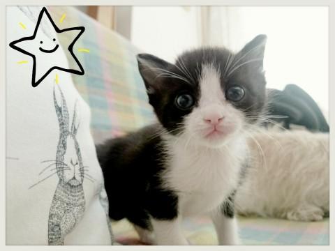 八割れ女の子です～～♪