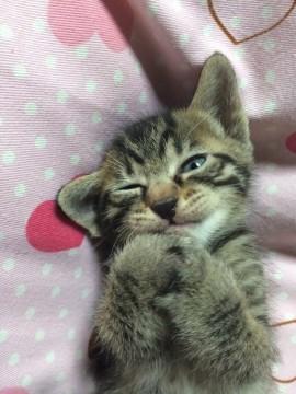 かわいい赤ちゃん