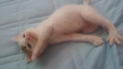 変わった模様…