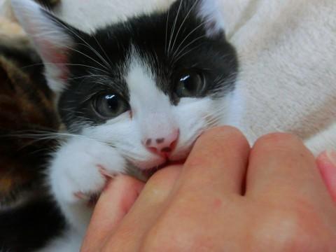 ちょっとおっきい☆男の子