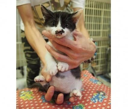 ４姉妹弟元気一杯です