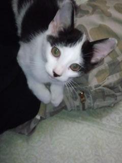 僕達を早く迎えに来て！