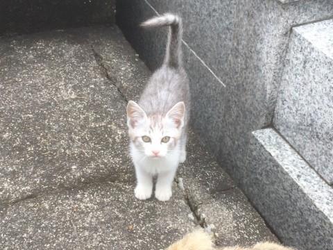 パッチリおめめの男の子