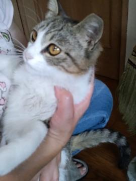 可愛くて人懐っこい子