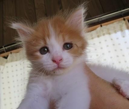 離乳しました