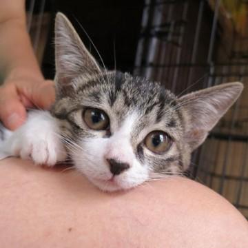 美貌の４兄妹（女子編）