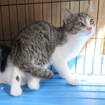 美貌の４兄妹（女子編）