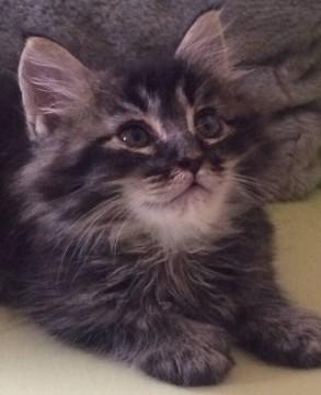 ロン毛のイケメン君