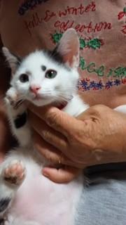 育児放棄された乳飲み子ちゃん