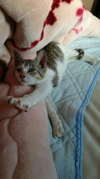 ヤンチャな男の子！