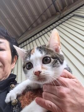 ３❤８月１日生まれです