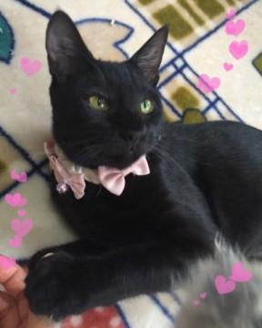 お膝大好き甘えっ子♪(^_^)