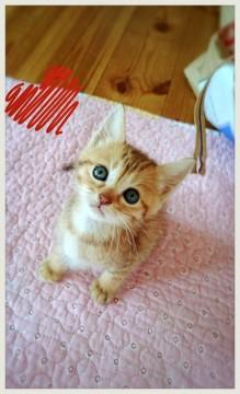 元気いっばい人が大好き！！