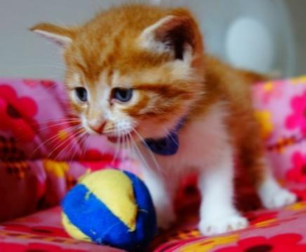 ★優しい男の子★