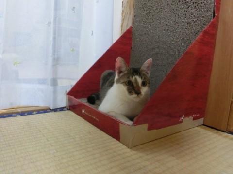 愛し愛されを実感！