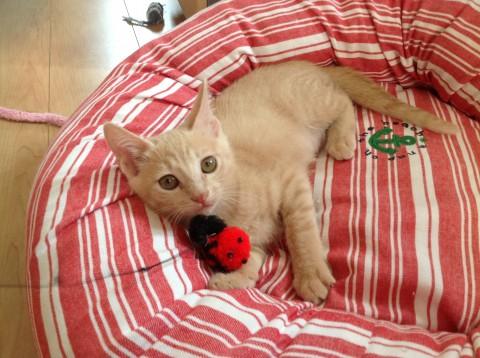 甘え上手なおっとりさん