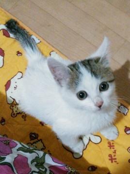 ボクを家族に～(~o~)