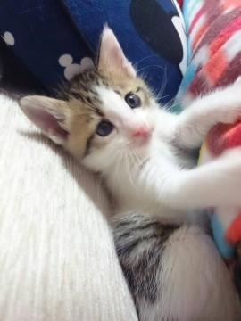 食いしん坊のおてんばさん